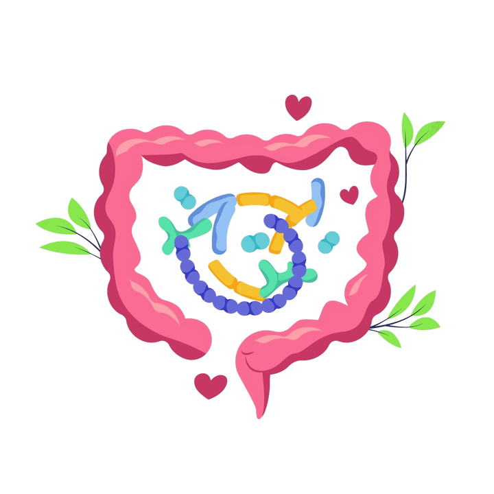 Digestión sana y sin parásitos.