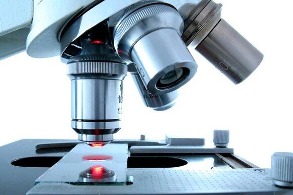 método microscópico para diagnosticar parásitos