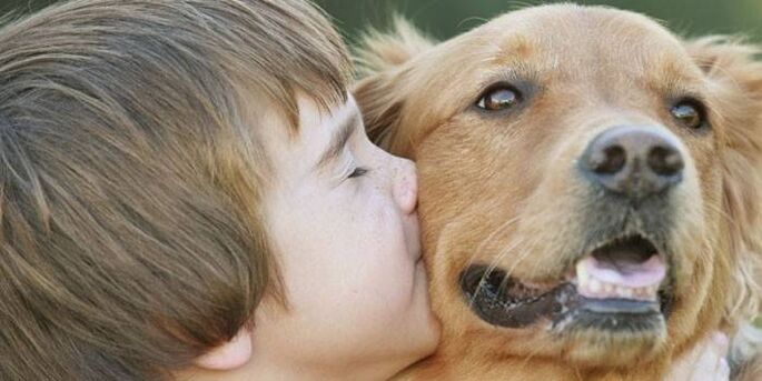 niño contrae parásitos de perro